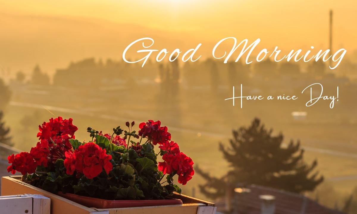 Good morning image with sunrise and nature