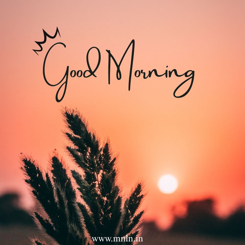 Good morning image with green landscape