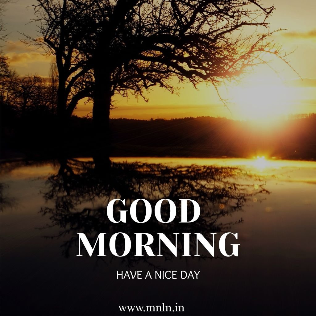 Good morning image with green landscape