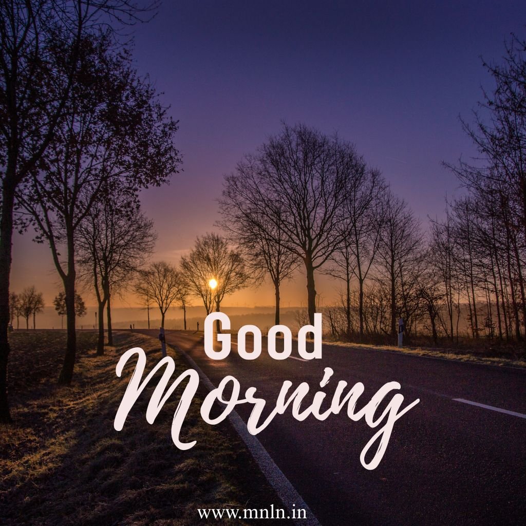 Good morning image with sunrise and nature