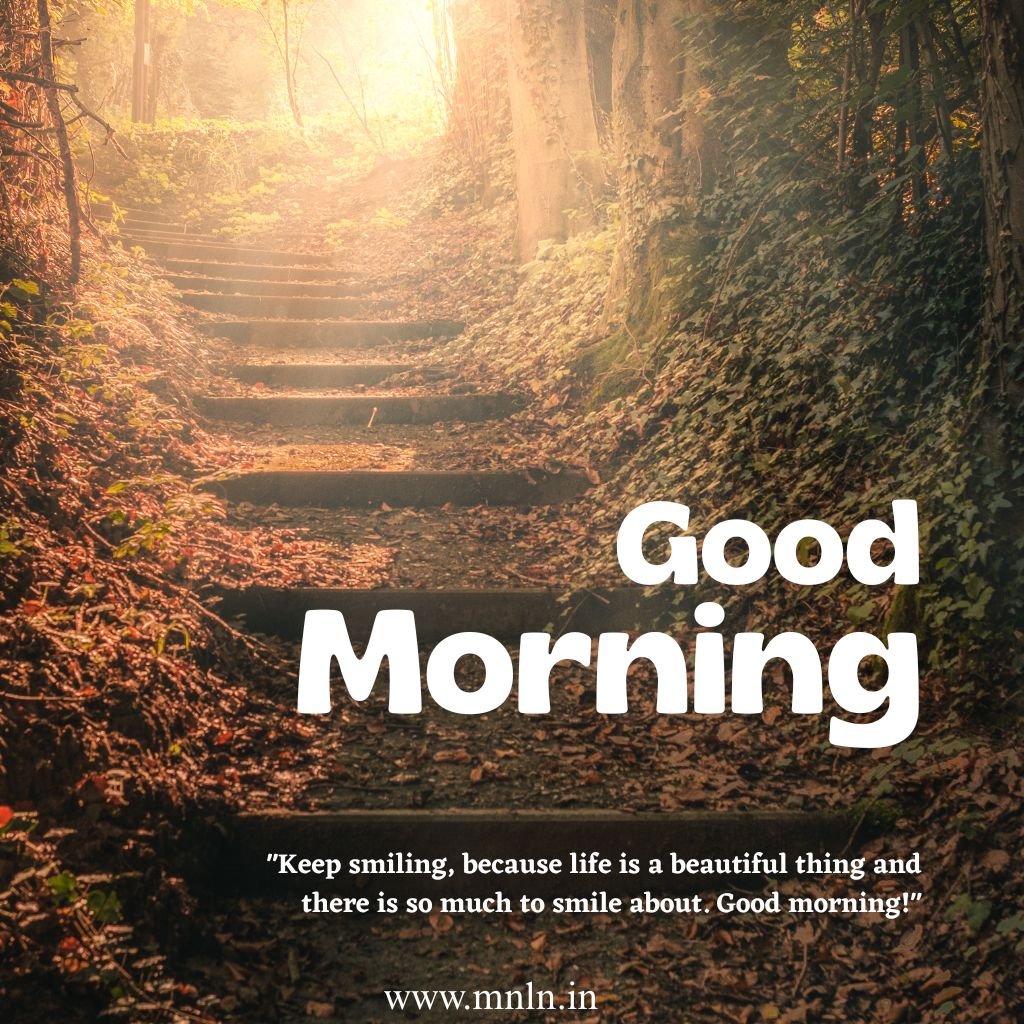 Good morning image with sunrise and nature